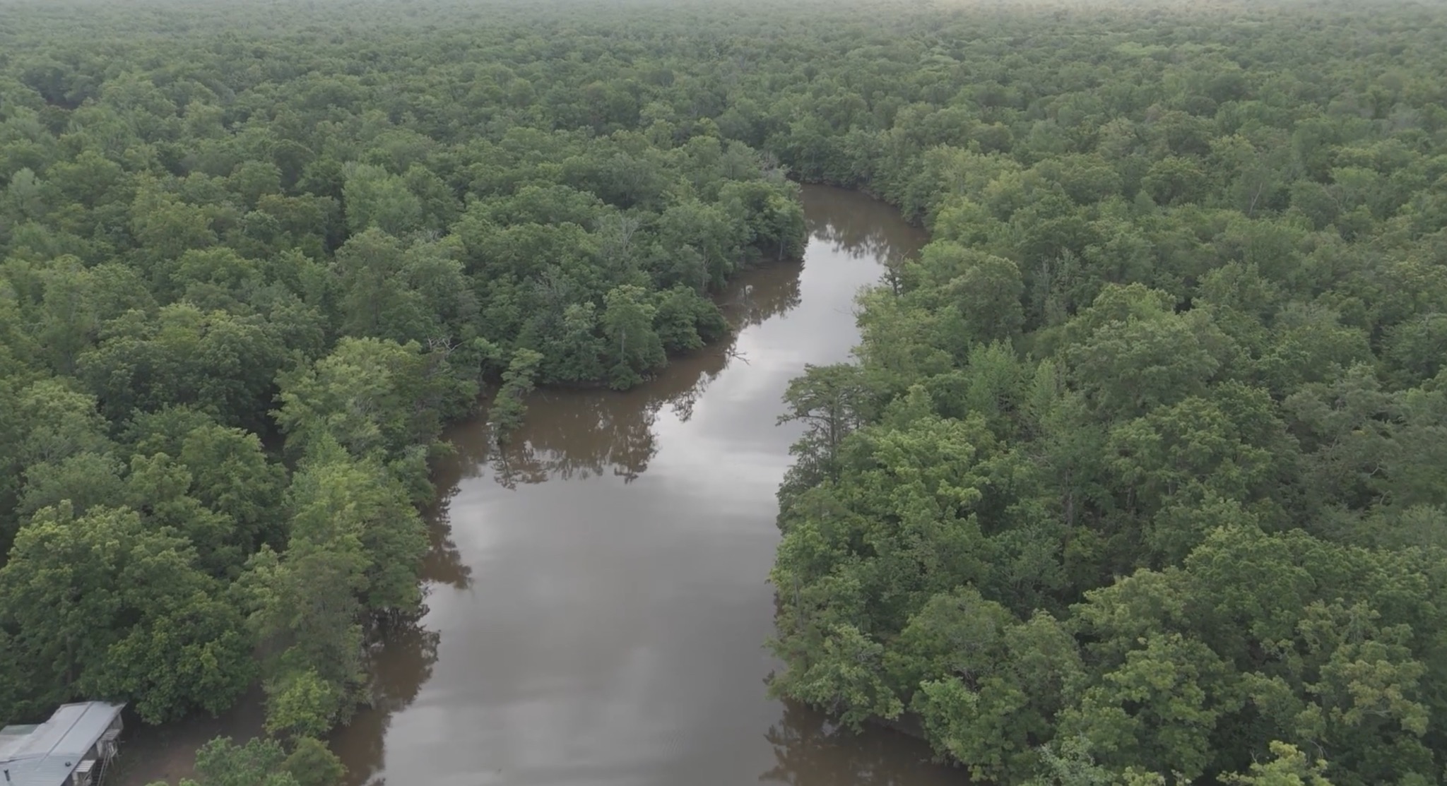 Aerial view of the Mobile-Tensaw Delta